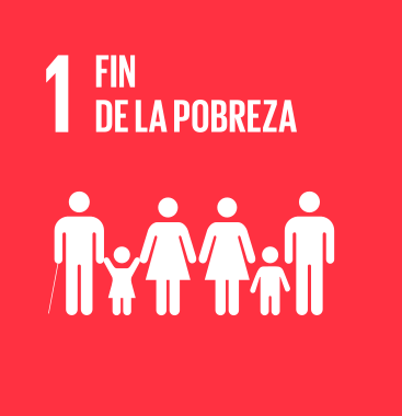 Novedades