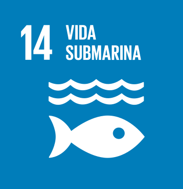 Vida submarina